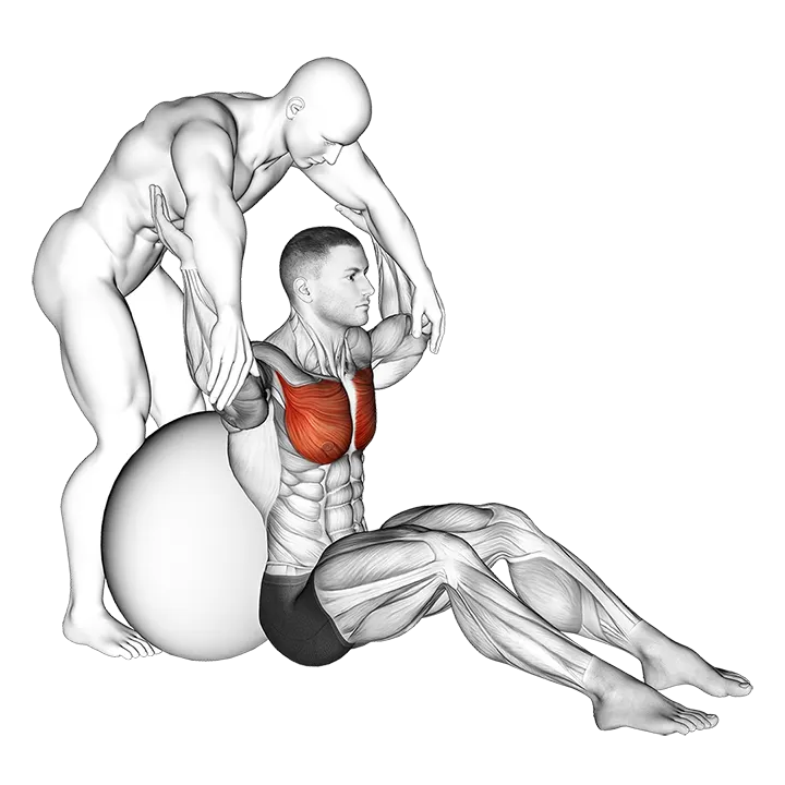 Assisted Seated Pectoralis Major Stretch With Stability Ball exercise animation (Male)
