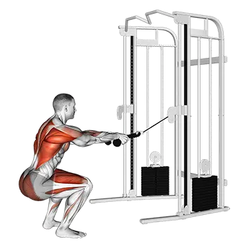Cable Squat Row (with rope attachment)