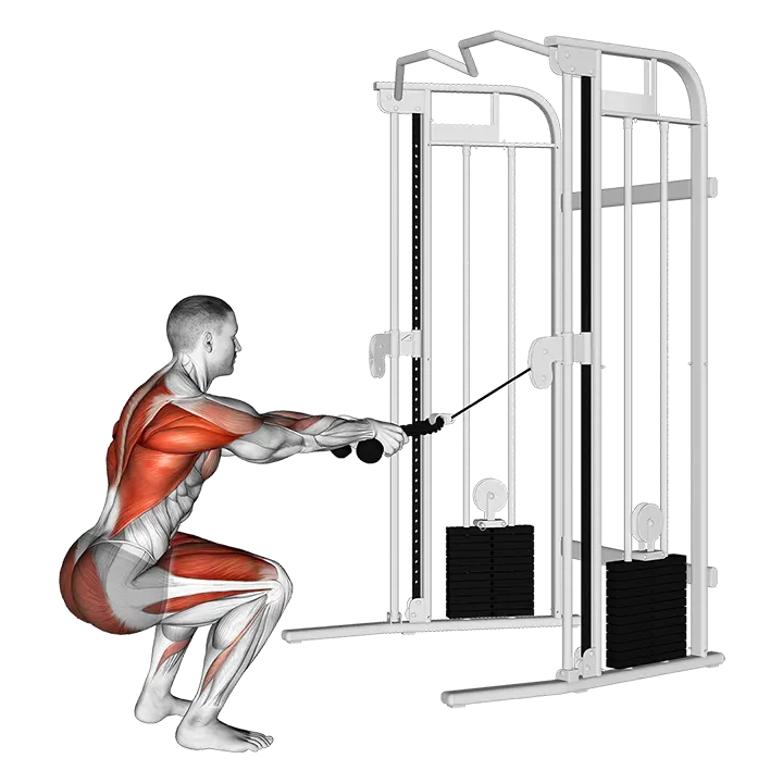 Cable Squat Row (with rope attachment) exercise animation (Männlich)