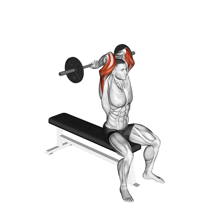 Barbell Seated Close grip Behind Neck Triceps Extension exercise animation (Male)