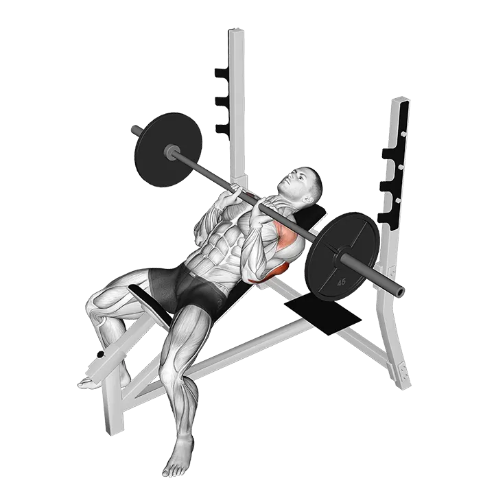 Barbell Incline Close Grip Bench Press exercise animation (Male)
