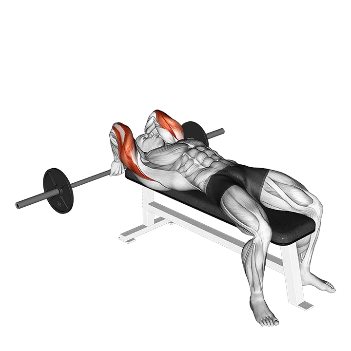 Barbell Lying Back of the Head Tricep Extension exercise animation (Male)