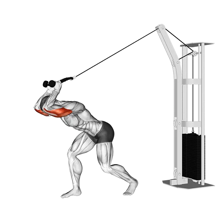 Cable High Pulley Overhead Tricep Extension exercise animation (Male)