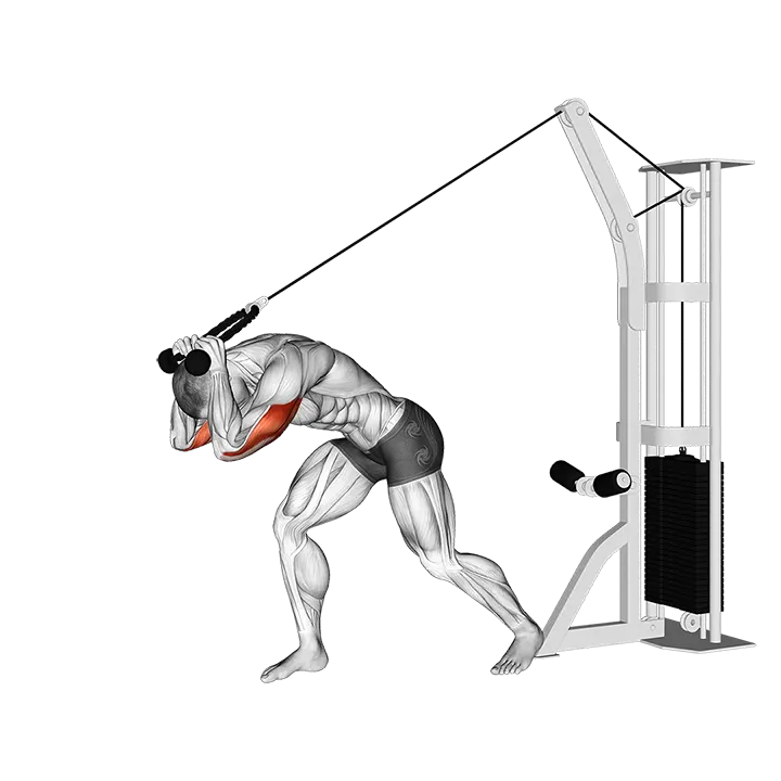 Cable Rope High Pulley Overhead Tricep Extension exercise animation (Male)
