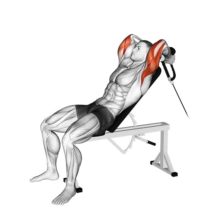 Cable Rope Incline Tricep Extension exercise animation (Male)