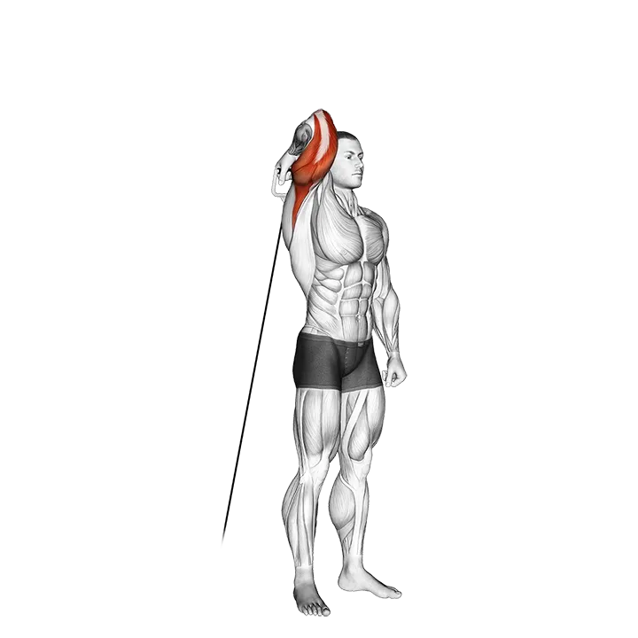 Cable Standing Reverse Grip One Arm Overhead Tricep Extension exercise animation (Male)