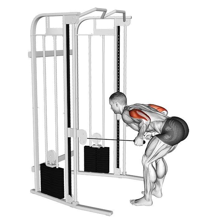 Cable Two Arm Tricep Kickback exercise animation (Male)