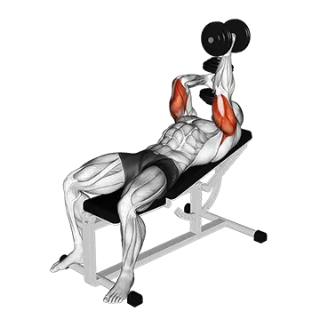 Dumbbell Lying Alternate Extension