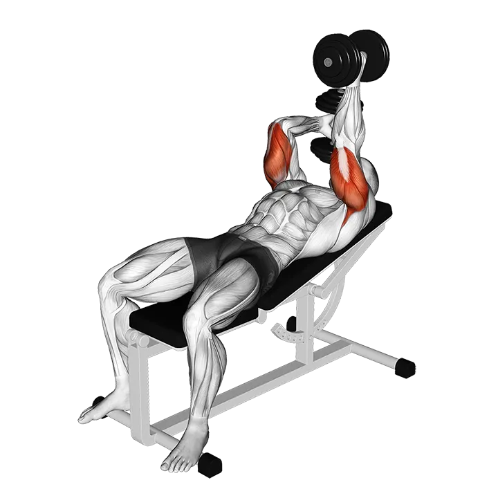 Dumbbell Lying Alternate Extension exercise animation (Male)
