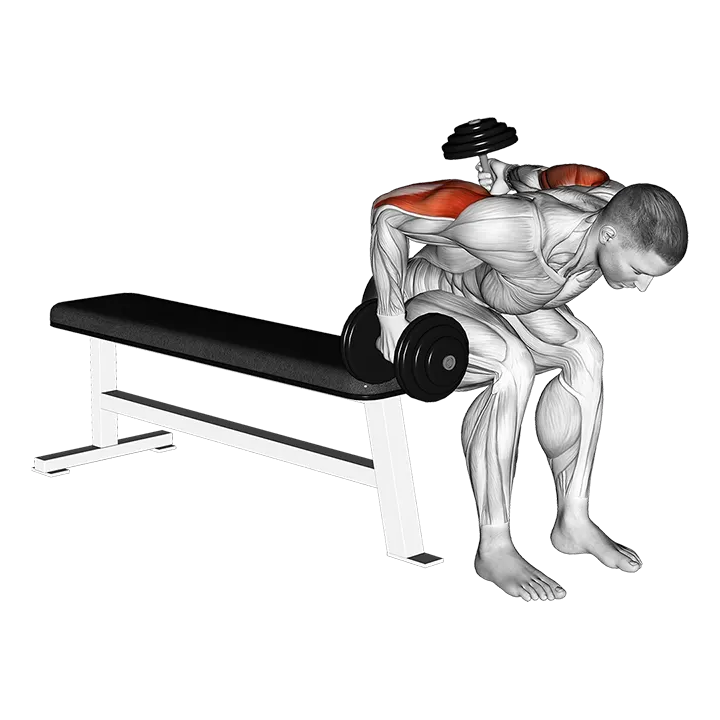 Dumbbell Seated Bent Over Alternate Kickback exercise animation (Male)