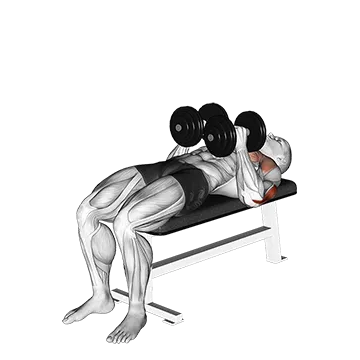 Dumbbell Close Grip Press