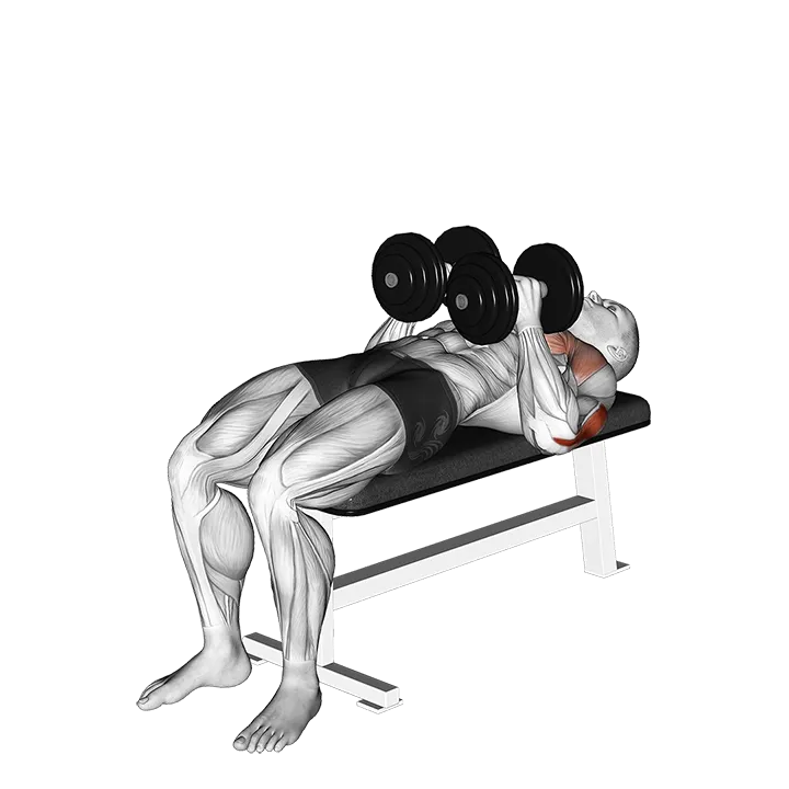 Dumbbell Close Grip Press exercise animation (Male)