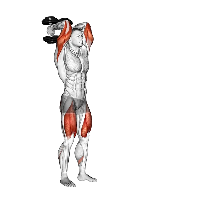 Dumbbell Forward Lunge Triceps Extension exercise animation (Male)