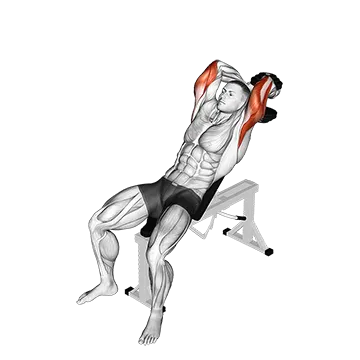 Dumbbell Incline Two Arm Extension