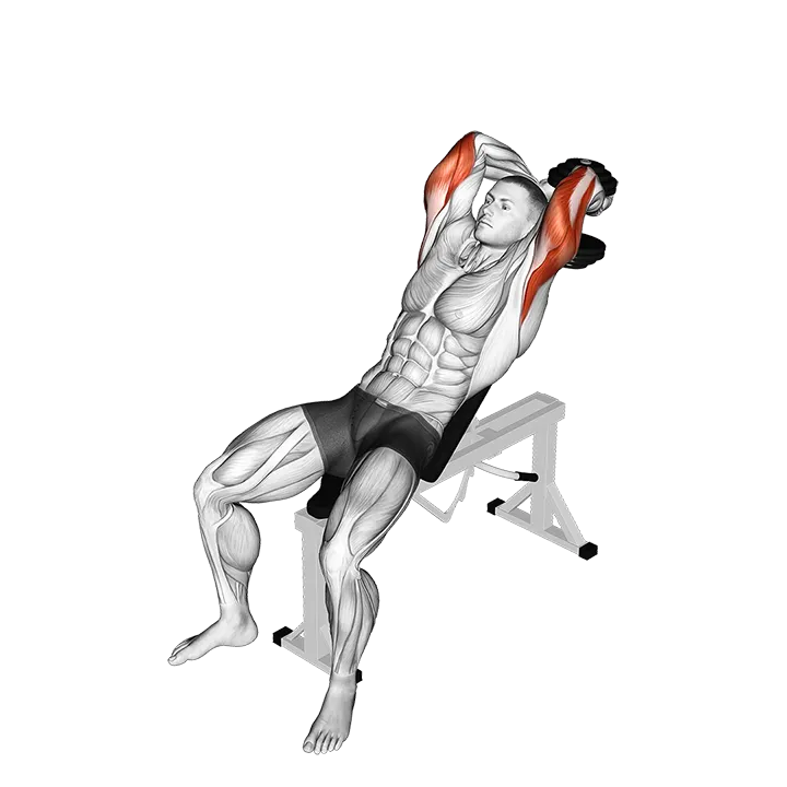 Dumbbell Incline Two Arm Extension exercise animation (Male)