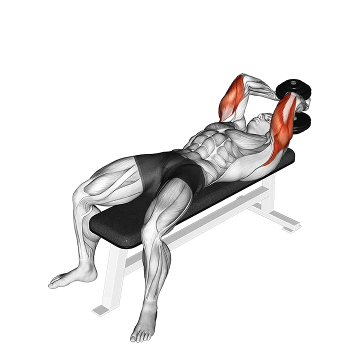 Dumbbell Lying Single Extension exercise animation (Male)