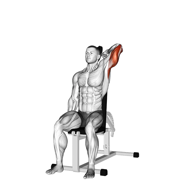 Dumbbell Seated Reverse Grip One Arm Overhead Tricep Extension exercise animation (Male)