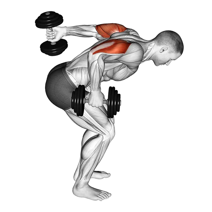Dumbbell Standing Alternating Tricep Kickback exercise animation (Male)