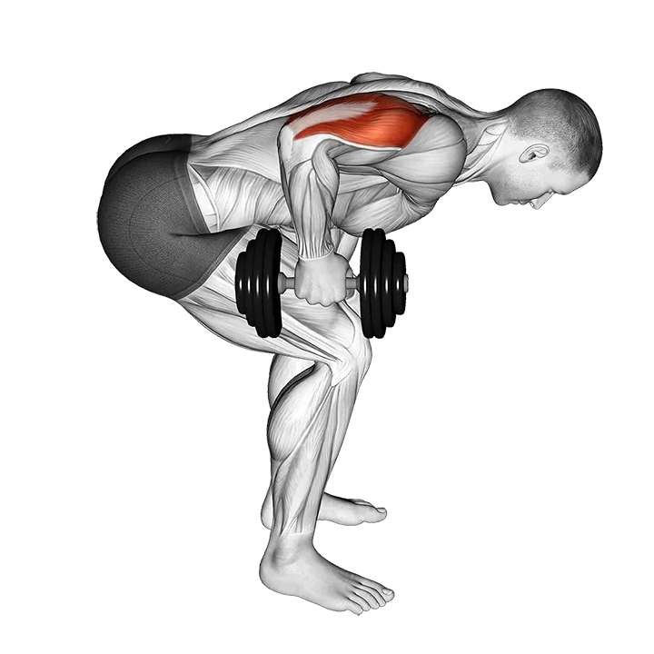 Dumbbell Standing Bent Over One Arm Triceps Extension exercise animation (Male)