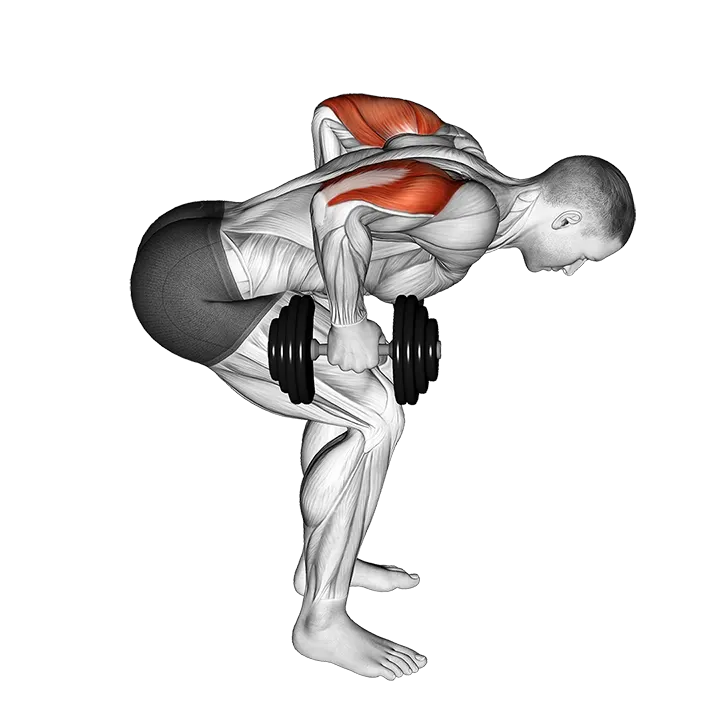Dumbbell Standing Bent Over Two Arm Triceps Extension exercise animation (Male)