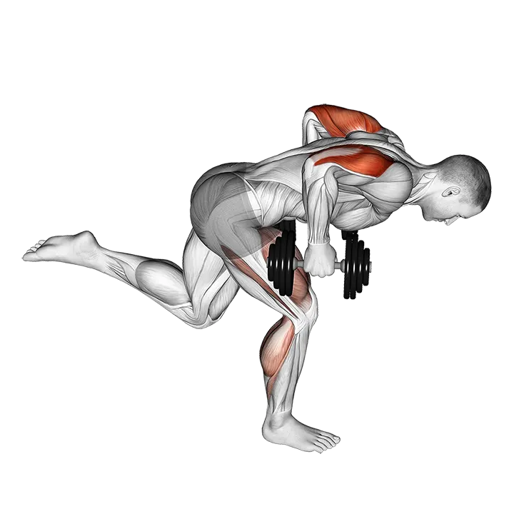 Dumbbell Tricep Kickback With Stork Stance exercise animation (Male)