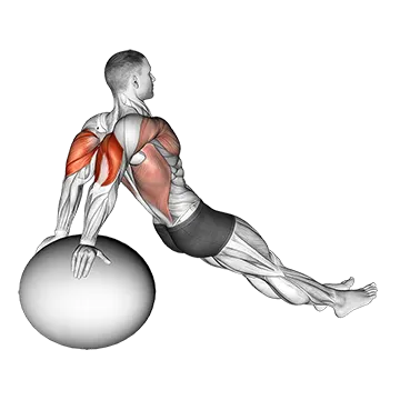 Exercise Ball Dip