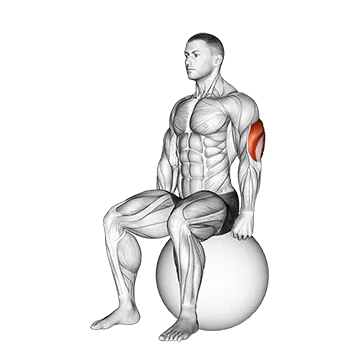 Exercise Ball Seated Triceps Stretch