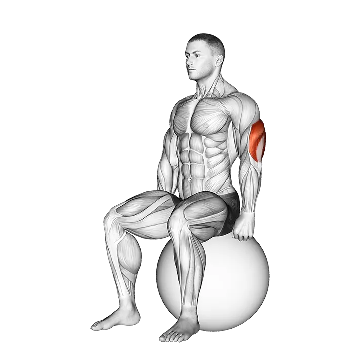 Exercise Ball Seated Triceps Stretch exercise animation (Male)