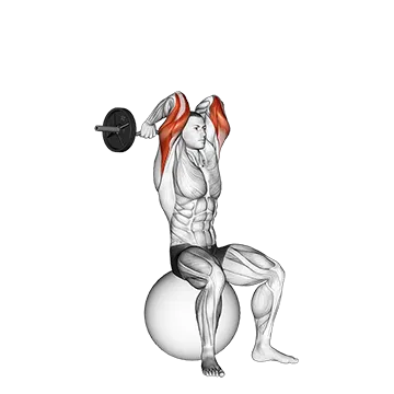 EZ Bar French Press on Exercise Ball