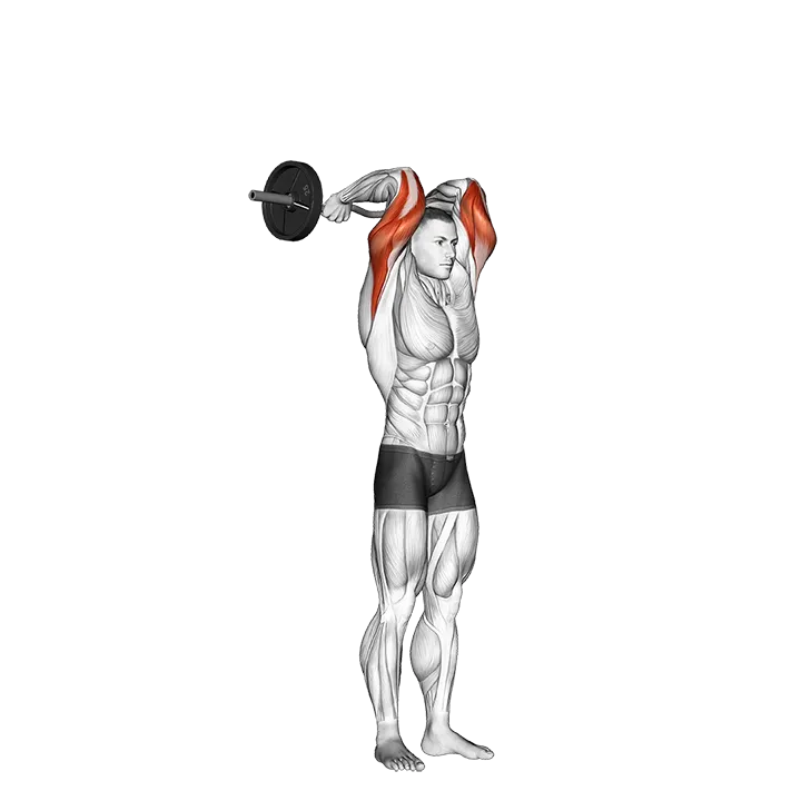 EZ Bar Standing French Press exercise animation (Male)