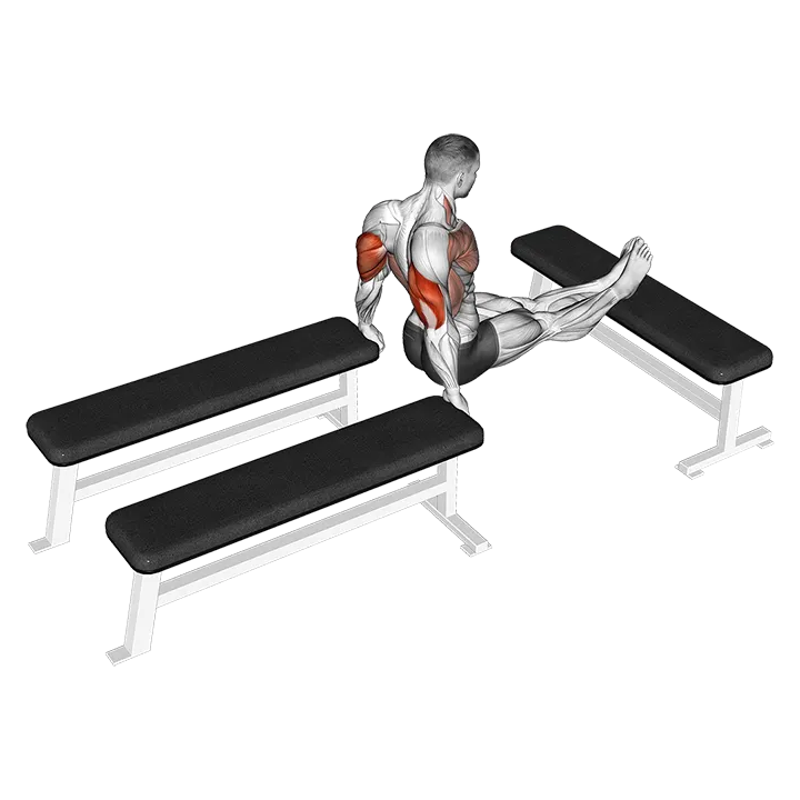 Three Bench Dip exercise animation (Male)