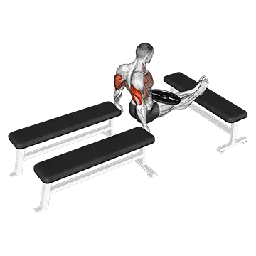 Weighted Three Bench Dips
