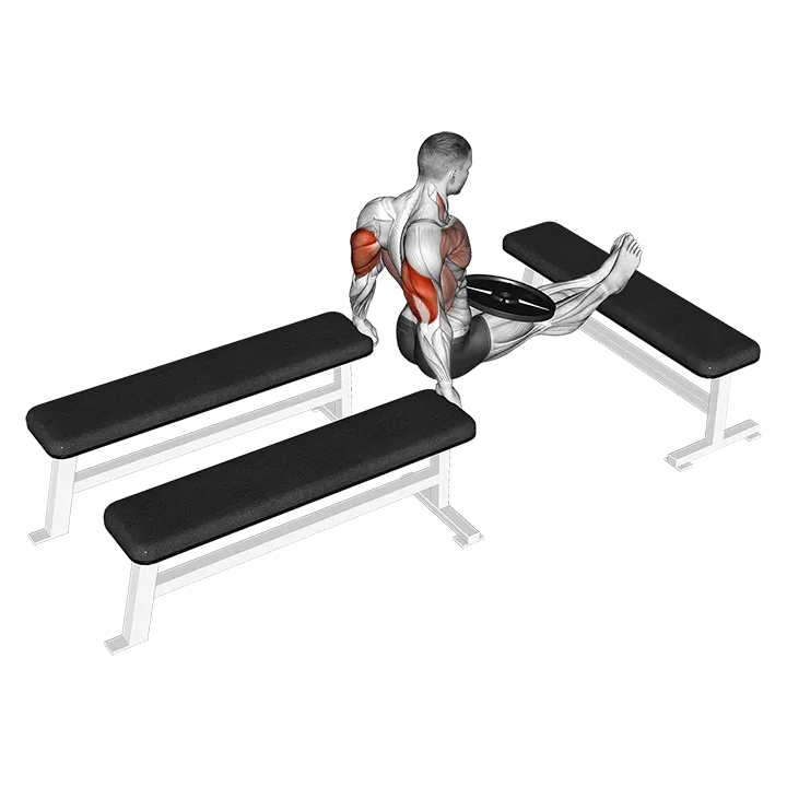 Weighted Three Bench Dips exercise animation (Male)