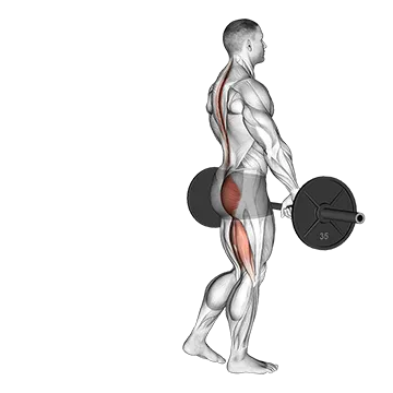 Barbell Single Leg Deadlift