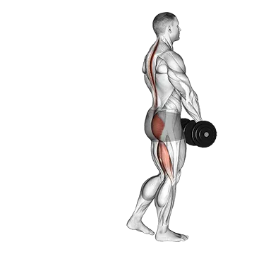 Dumbbell Single Leg Deadlift