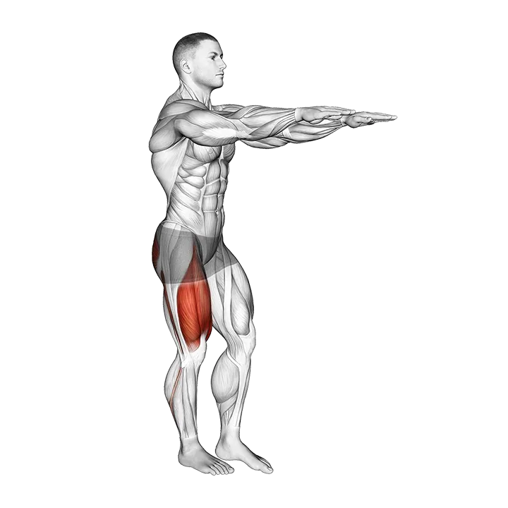 Single Leg Squat (pistol) male exercise animation (Male)