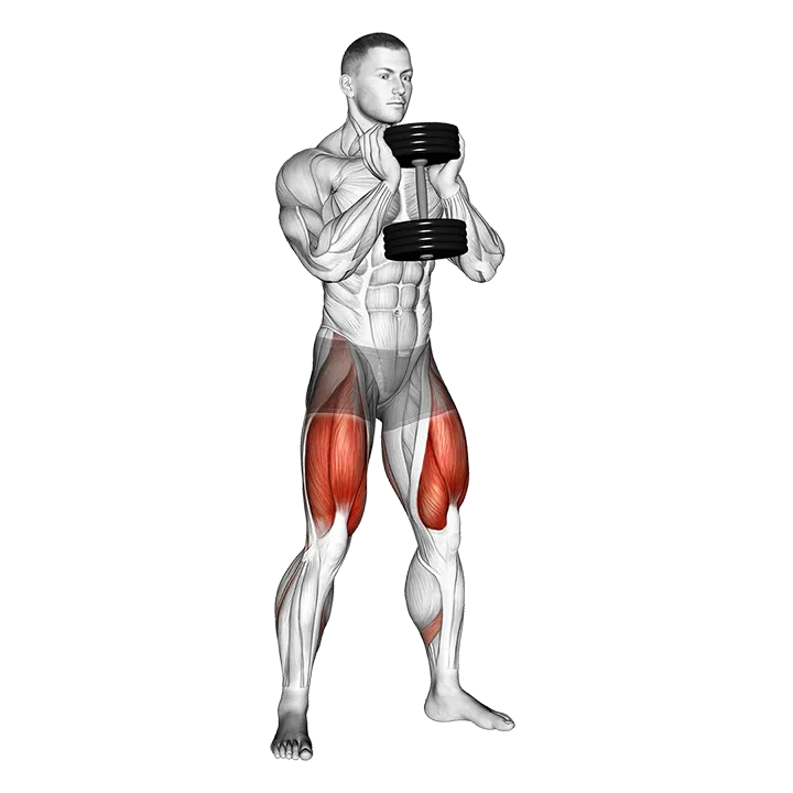 Dumbbell Goblet Squat exercise animation (Male)