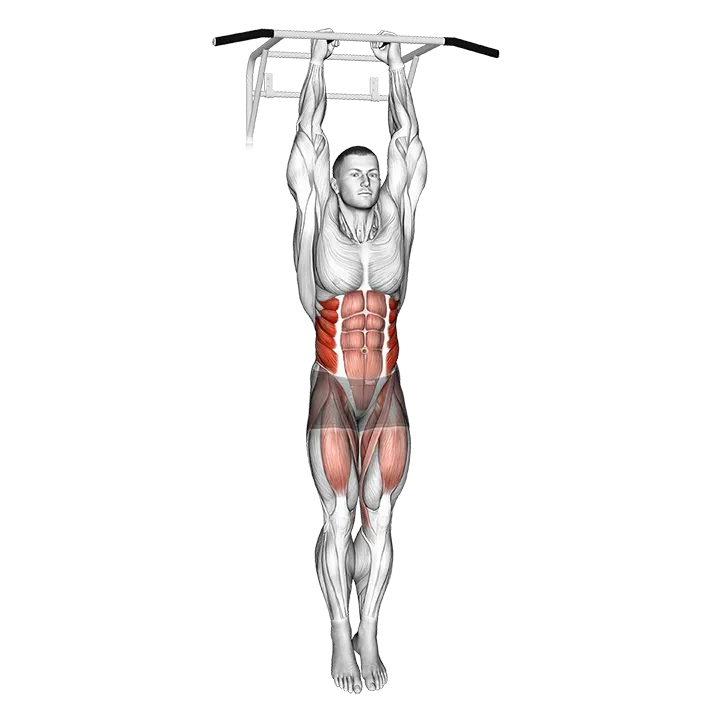 Hanging Oblique Knee Raise exercise animation (Male)