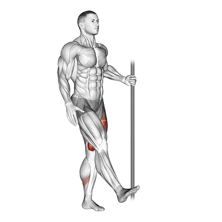 Single Leg Squat with Support (pistol) exercise animation (Male)