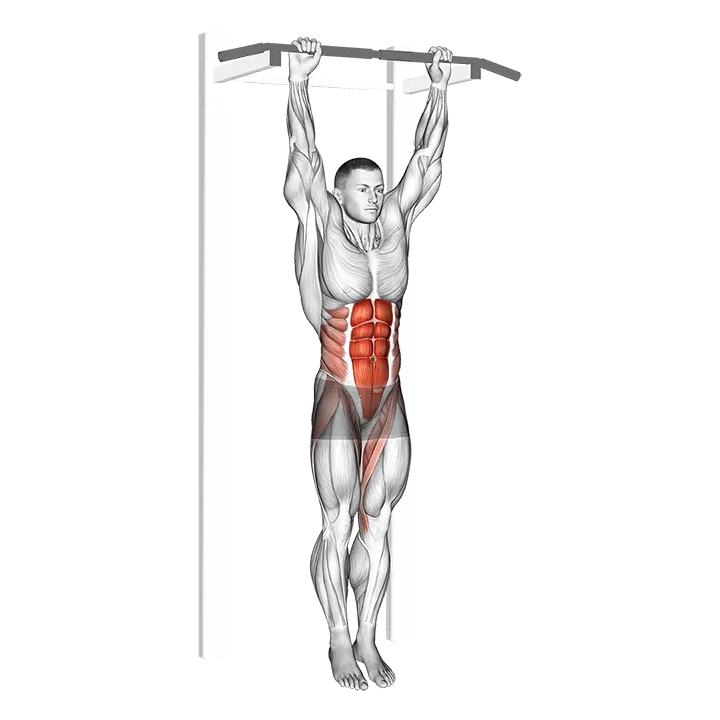 Hanging Leg Hip Raise exercise animation (Hombre)