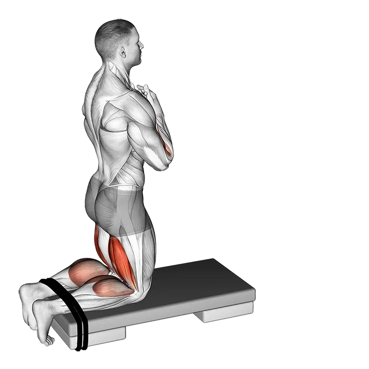 Self assisted Inverse Leg Curl exercise animation (Male)