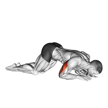 Bodyweight Kneeling Triceps Extension