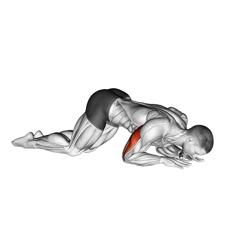 Bodyweight Kneeling Triceps Extension exercise animation (Male)