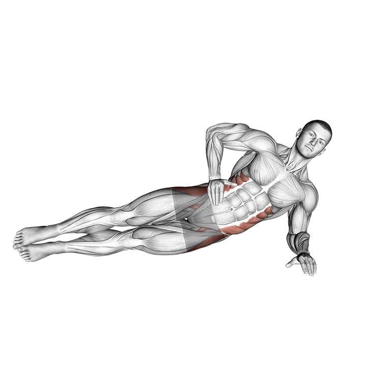Side Bridge Hip Abduction exercise animation (Male)