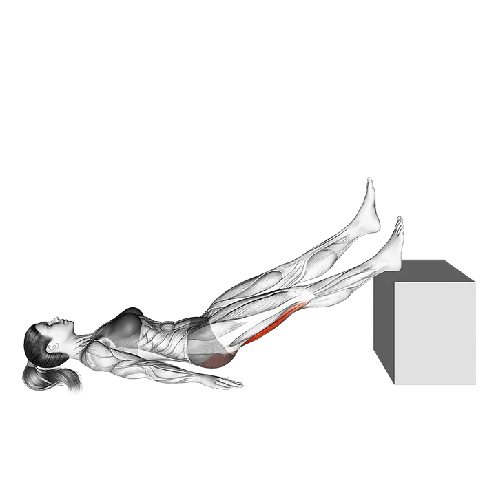 Lying Single Straight Leg Hip Extension exercise animation (Female)