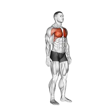 Above Head Chest Stretch