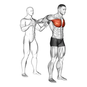 Assisted Standing Chest Stretch