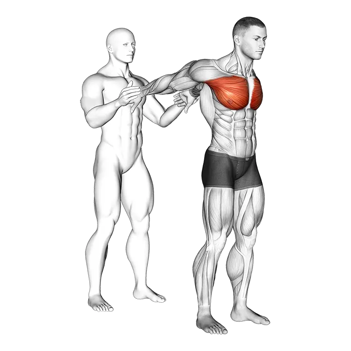 Assisted Standing Chest Stretch exercise animation (Male)