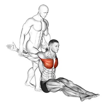 Assisted Seated Chest Stretch
