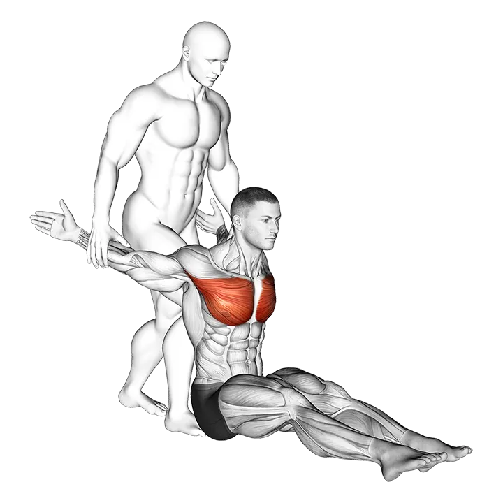 Assisted Seated Chest Stretch exercise animation (Male)